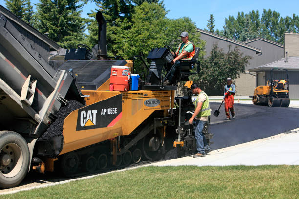 Best Driveway Pavers Near Me  in Tarpon Springs, FL