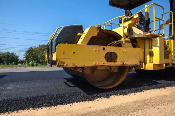 Best Local Driveway Pavers  in Tarpon Springs, FL